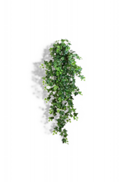 Hanging Ivy 110cm