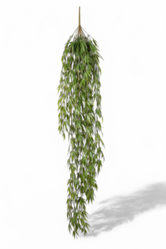 Hanging Bamboo 115cm
