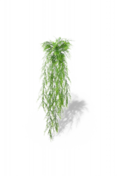 Hanging Spring 105cm