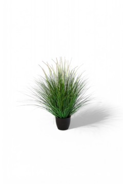 Bunny Grass 55cm