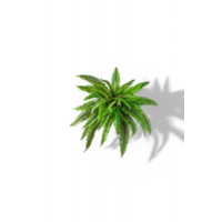 11445_1.png