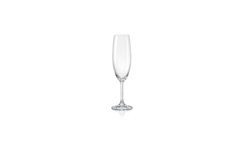 Cabernet Champagneglas 22 cl