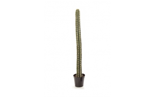 Cactus Column 205cm