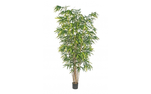 Bamboo de Luxe 240cm