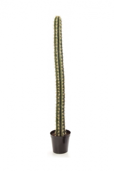 Cactus Column 205cm