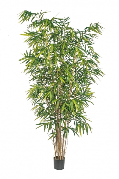 Bamboo de Luxe 270cm
